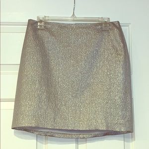 Ann Taylor silver skirt